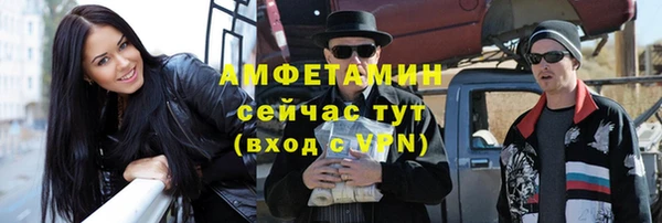 шишки Вяземский