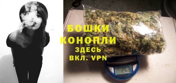 шишки Вяземский