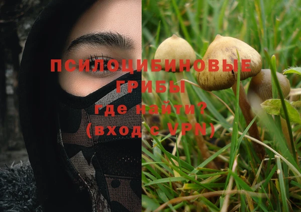 jwh Вязьма
