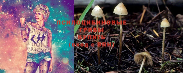 прущие крисы Горнозаводск