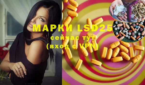 шишки Вяземский