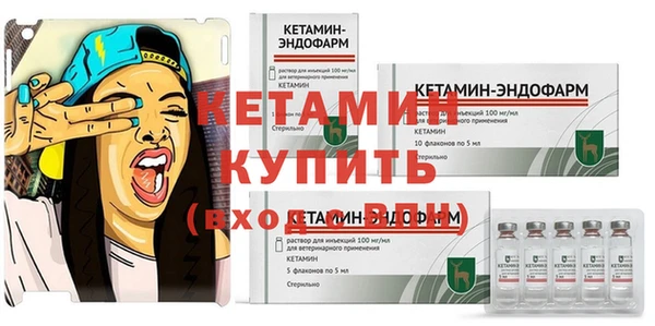 шишки Вяземский