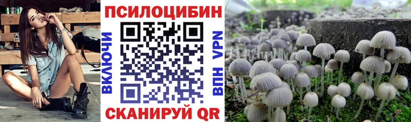 Купить закладки  Теберда  Галлюциногенные грибы мухоморы 